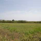 ...oltre i quali si estende il verde canneto che divide in due la localit�